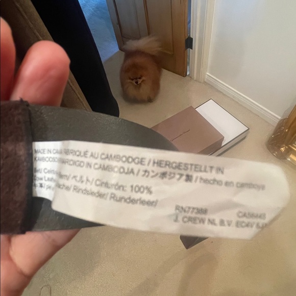 J Crew Brown 100% Leather Belt - Picture 2 of 9